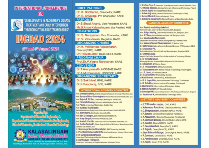 2024 年